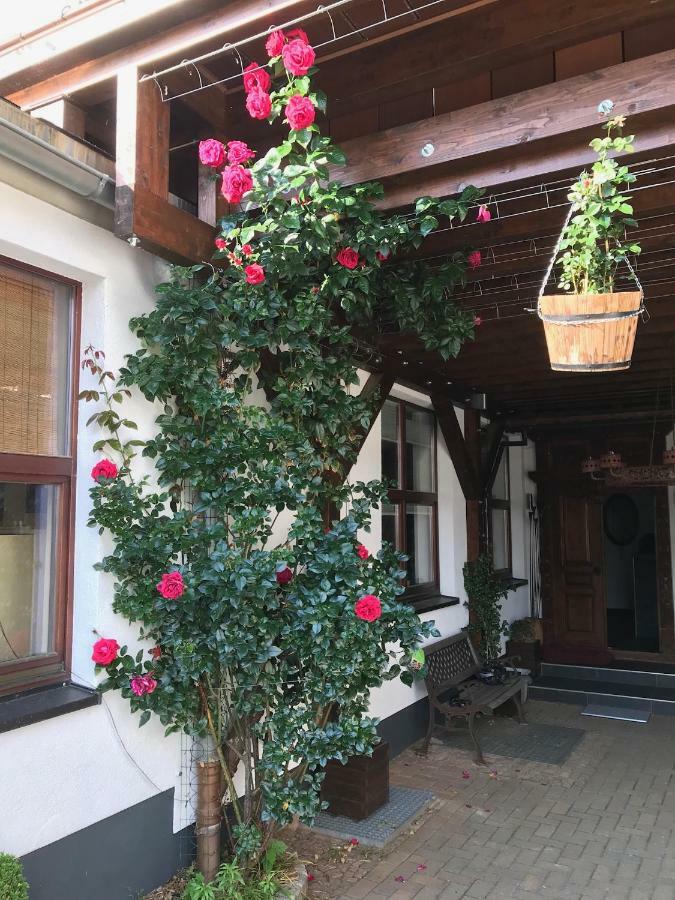 Wieko Ferienwohnungen Plauen Kültér fotó